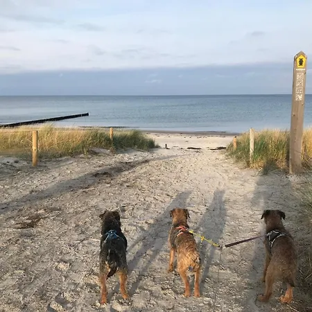 Bodden Paradise Pruchten