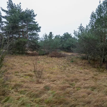 Bodden Paradise * Pruchten